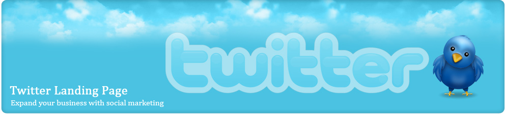 Twitter Landing Page Design India