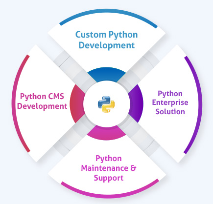customized-python-development-services