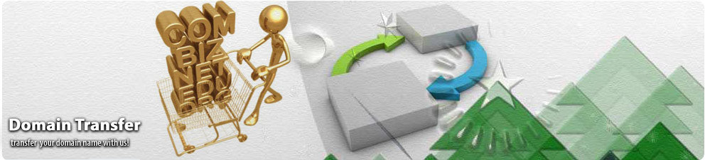 Domain Transfer