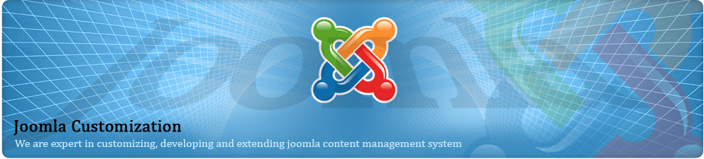 Joomla Customization