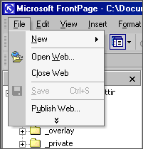 Publish Web