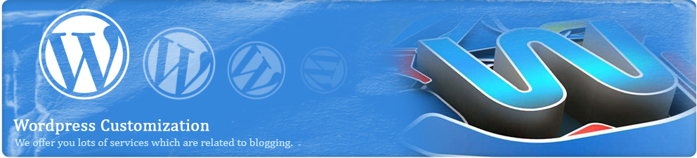 Wordpress Customization