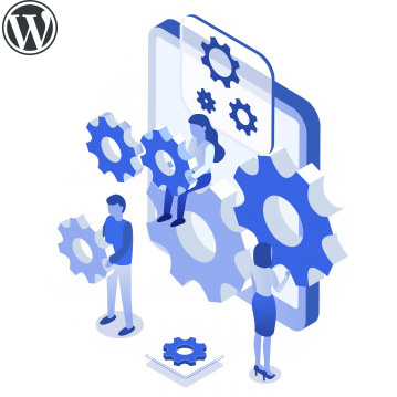 WordPress Plugin Development Company / Services