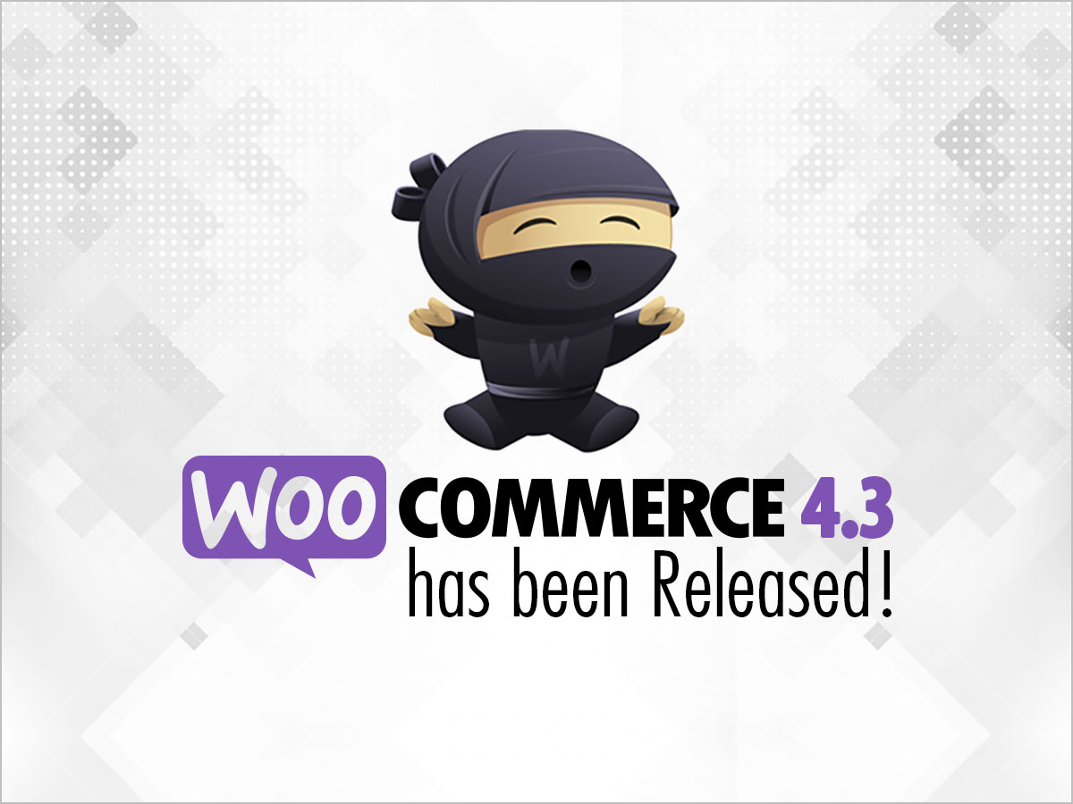 WooCommerce 4.3 Store Development – Skynet Technologies