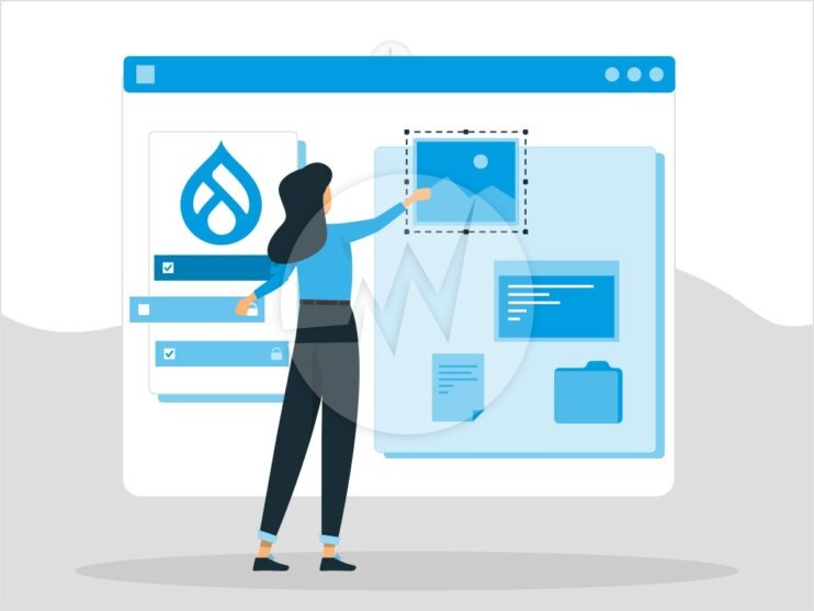 Drupal Website Design