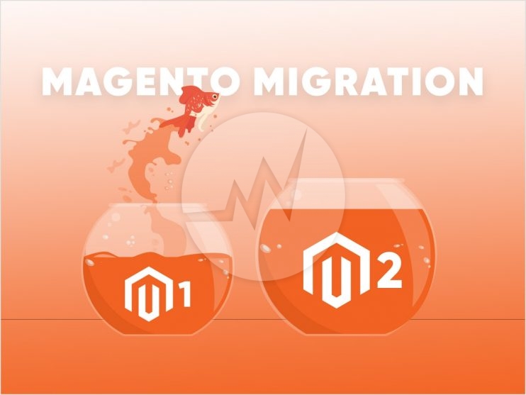 Magento Migration