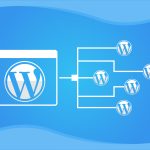 WordPress single site to multisite