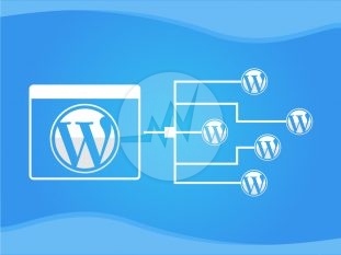 WordPress single site to multisite