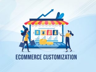 Ecommerce Customization