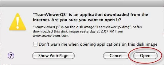 open-teamviewer-qs