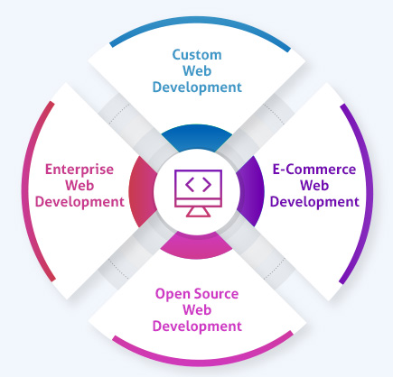 custom web development services