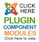 Joomla Plugin