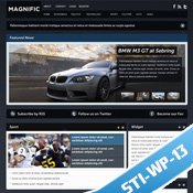 wordpress Template - STI-WP-13