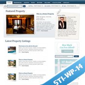 wordpress Template - STI-WP-14