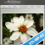 wordpress Template - STI-WP-02